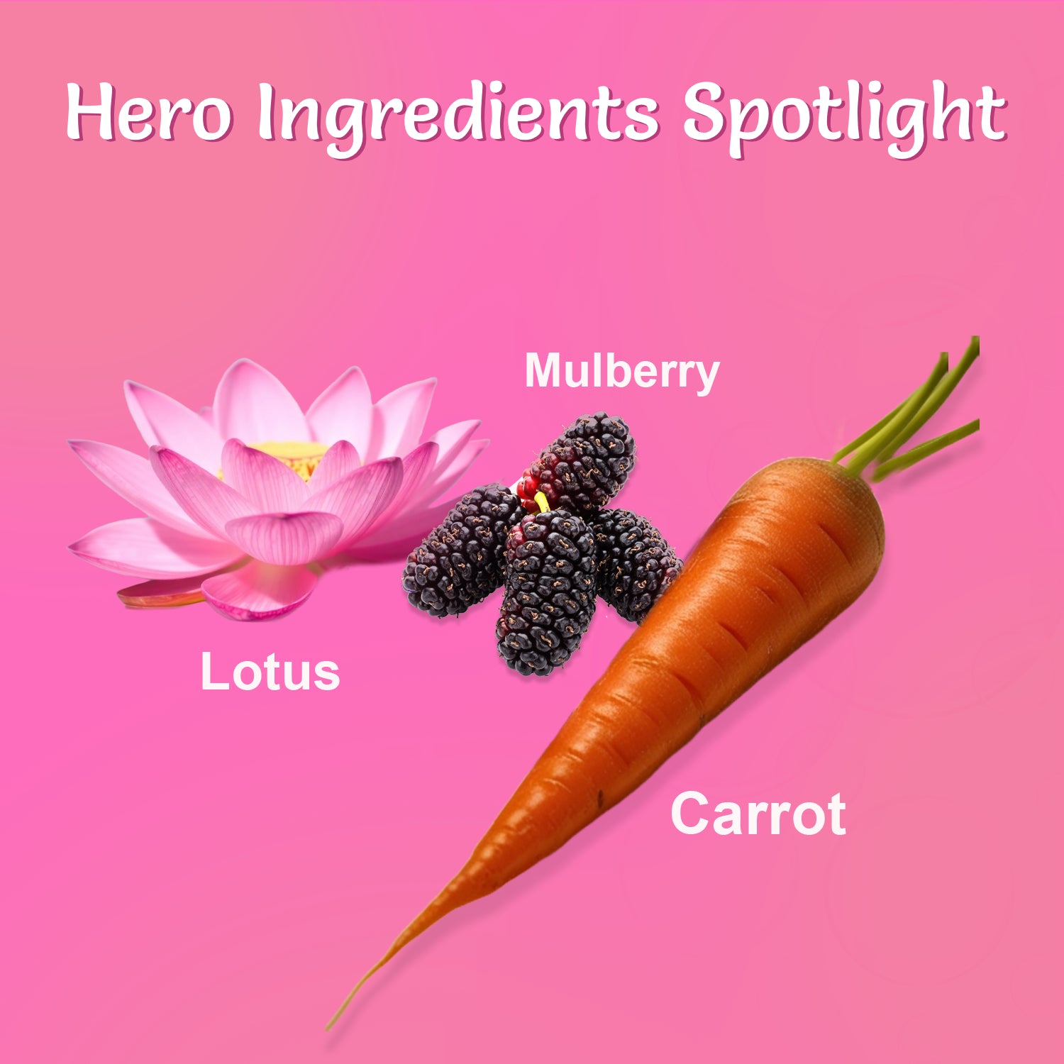 Sunwise SPF Infusion Cream SPF 30 PA++++