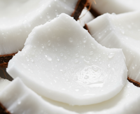 Coconut Extract
