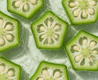 Okra Mucin (India’s 1st)